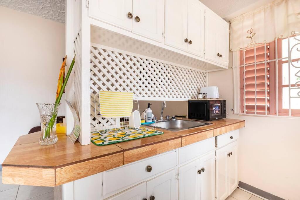Shaw Park Gem Apt 12A Ocho Rios Eksteriør billede