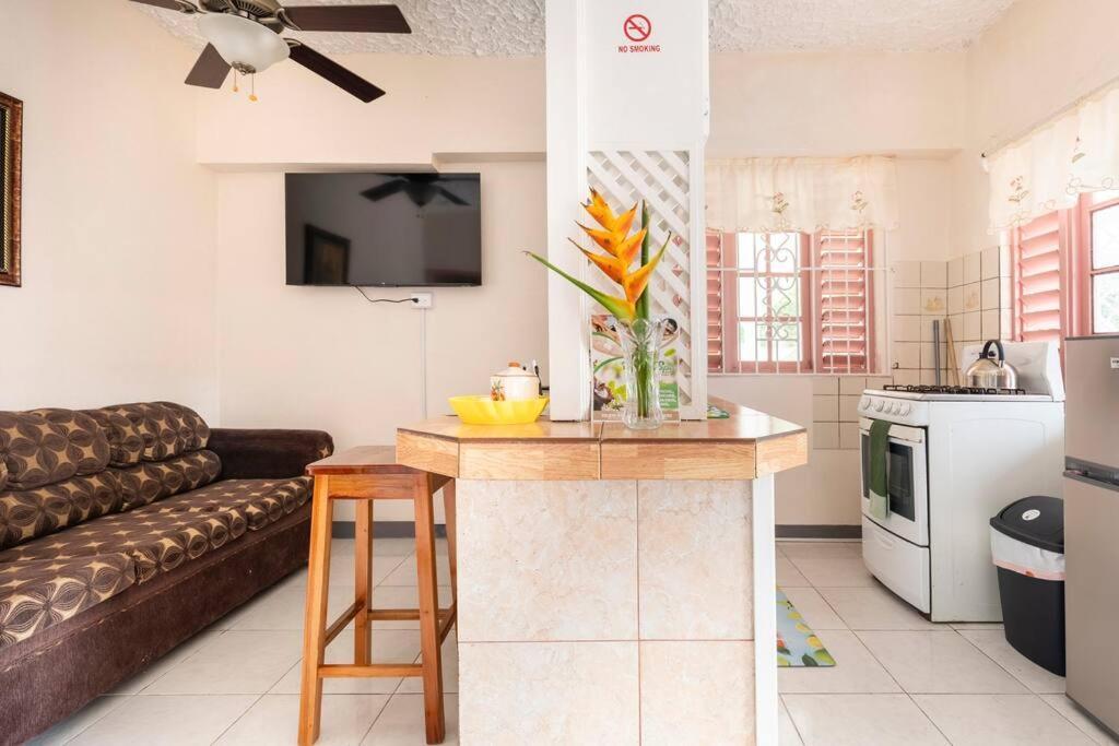 Shaw Park Gem Apt 12A Ocho Rios Eksteriør billede